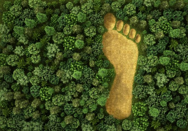 Why We Need to Remove Single-Use Plastic from Supply Chains