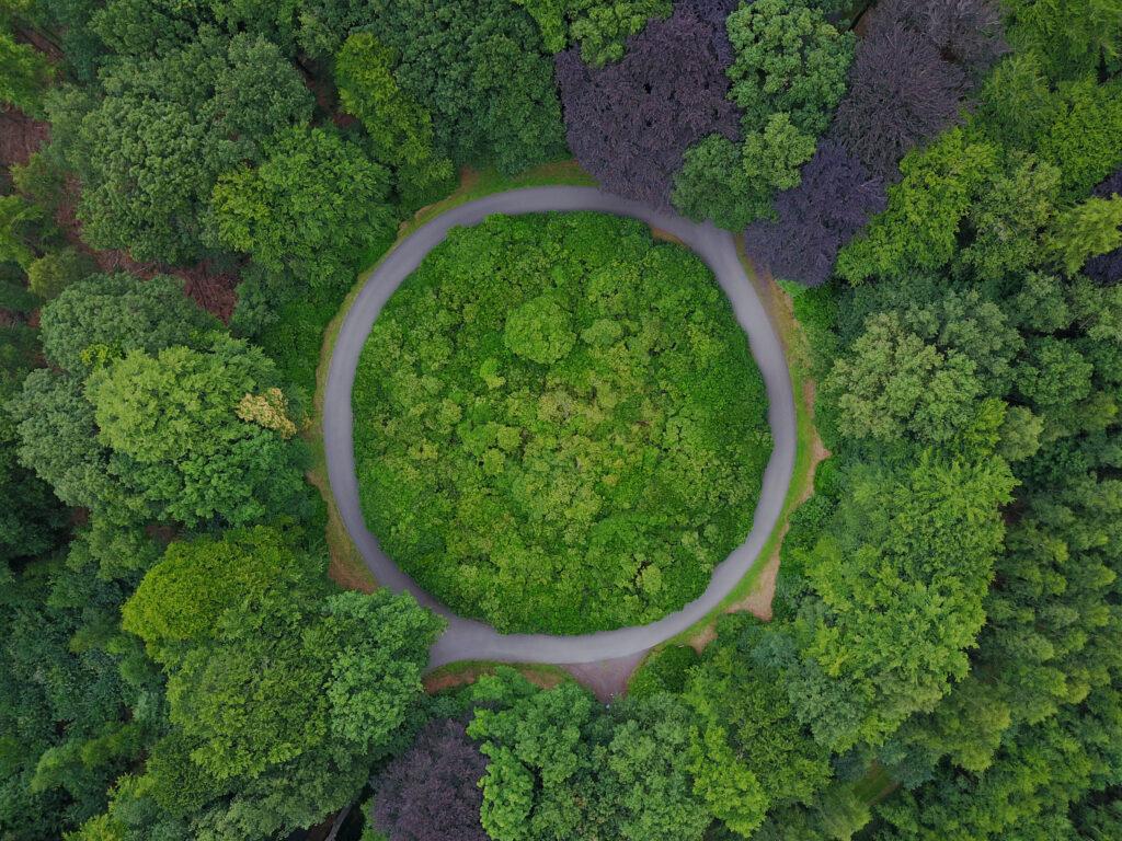 Circular road in a lush green forest - symbolising the circular economy and how it is better for the environment