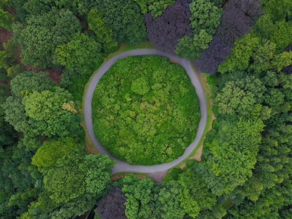 Circular road in a lush green forest - symbolising the circular economy and how it is better for the environment
