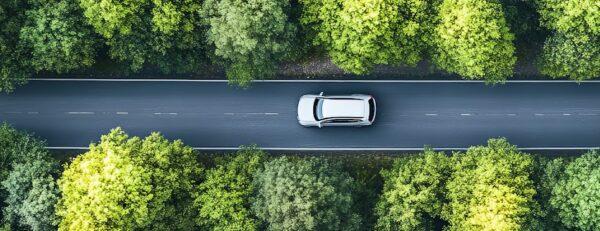 Aerial view of a white car driving through a dense forest on a straight asphalt road.