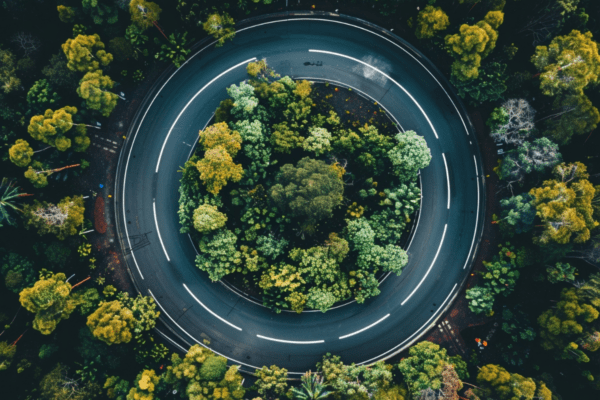 Building sustainable supply chains
