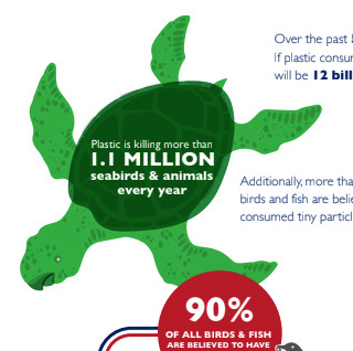 Single-use plastic infographic turtle